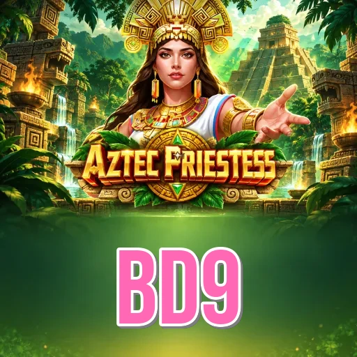 bd9 Install FAQ