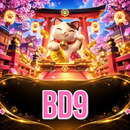 Installation Guide - bd9 Expert Tutorial